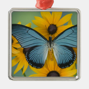 Adorno Metálico Sammamish Washington Fotografía de Mariposa