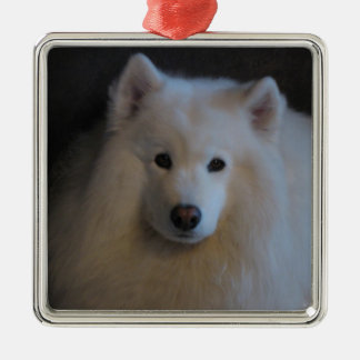 Adorno Metálico Samoyed