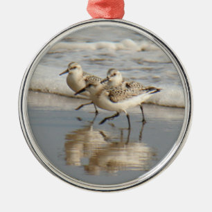 Adorno Metálico Sanderling Shorerunners