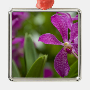 Adorno Metálico Sánscrito de Singapur para Ciudad León). Naciona