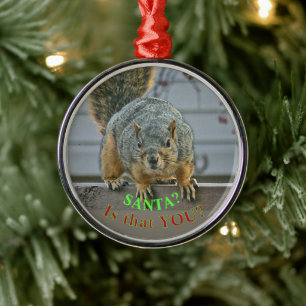 ADORNO METÁLICO "SANTA, ¿ERES TÚ?" ORNAMEN DE ESCUERDO AMPLIO