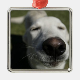 Adorno Metálico Santa Fe, Nuevo México