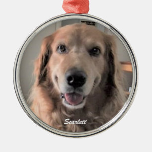 Adorno Metálico Scarlett Golden Retriever Round Ornament, Final