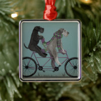 Schnauzer Tandem