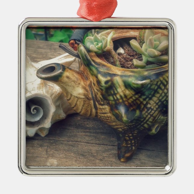 Adorno Metálico Seashell Tea Kettle plantado con suculentos (Frente)