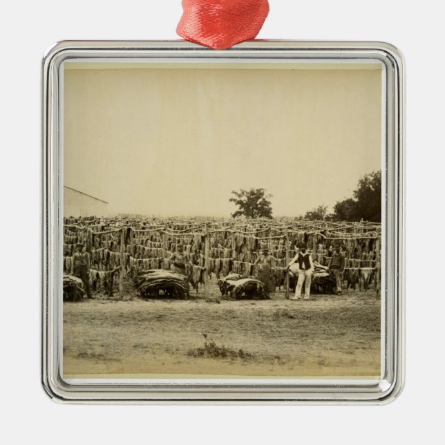 Adorno Metálico Secado de cuero, Argentina (papel de albúmina en t (Frente)