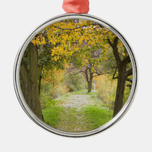 Adorno Metálico Sendero en otoño