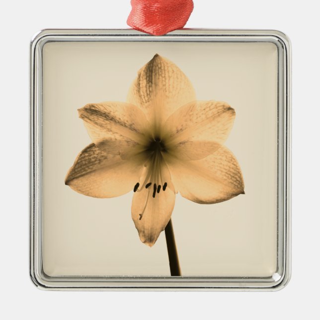 Adorno Metálico sepia amaryllis (Frente)