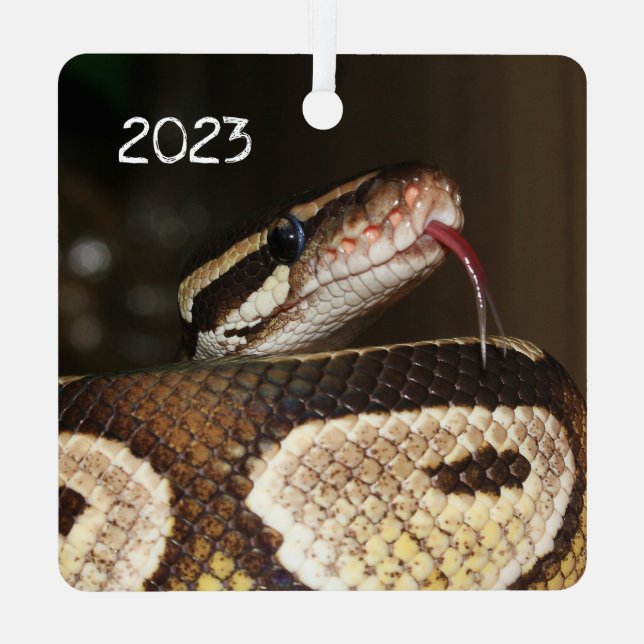 Adorno Metálico Serpiente de Ball Python (Reverso )