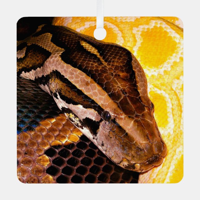 Adorno Metálico Serpiente Python birmana (Anverso)