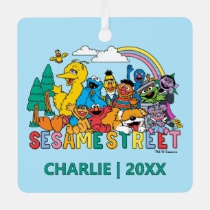 Adorno Metálico Sesame Street   Ola de Arcoíris