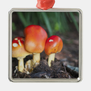 Adorno Metálico seta de la familia Amanita