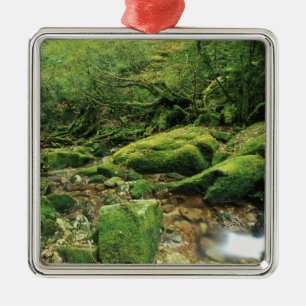 Adorno Metálico Shiratani Unsuikyo, Yakushima, Kagoshima, Japón