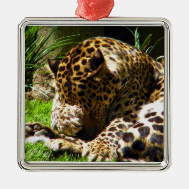 Adorno Metálico Shy Leopard (Frente)