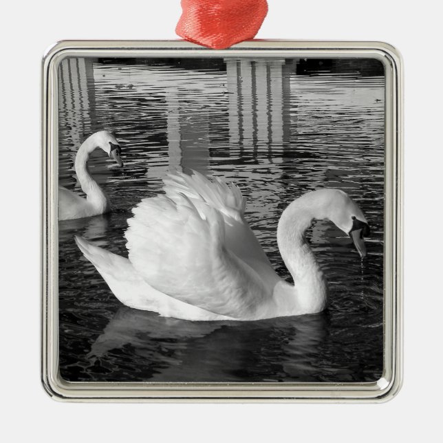 Adorno Metálico Silenciar a los cisnes en el agua (Frente)