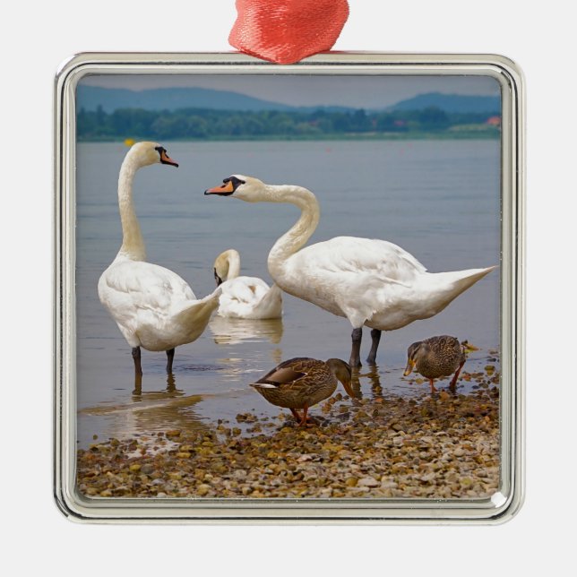 Adorno Metálico Silenciar cisnes y patos (Frente)