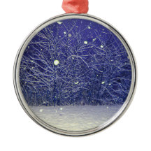 Silent Night Snowfall