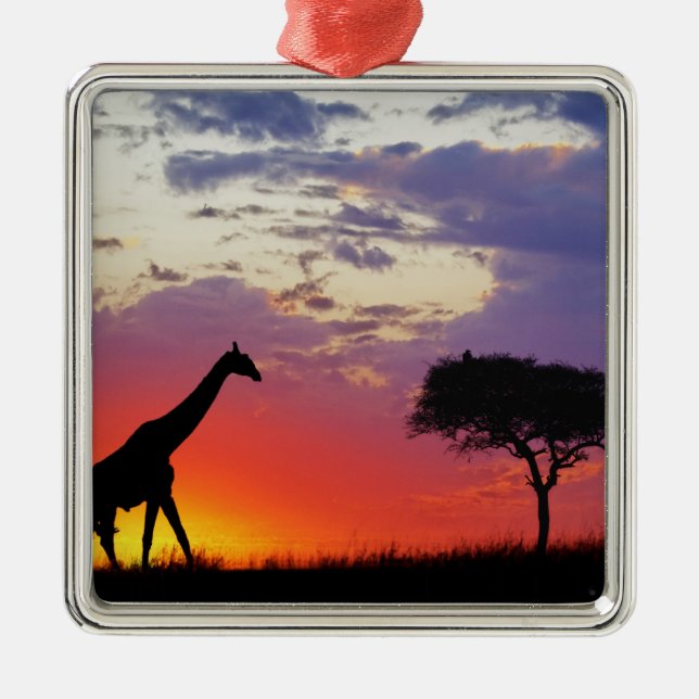 Adorno Metálico Silla de jirafa al amanecer, Giraffa (Frente)