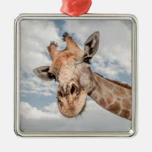 Adorno Metálico Silly Giraffe
