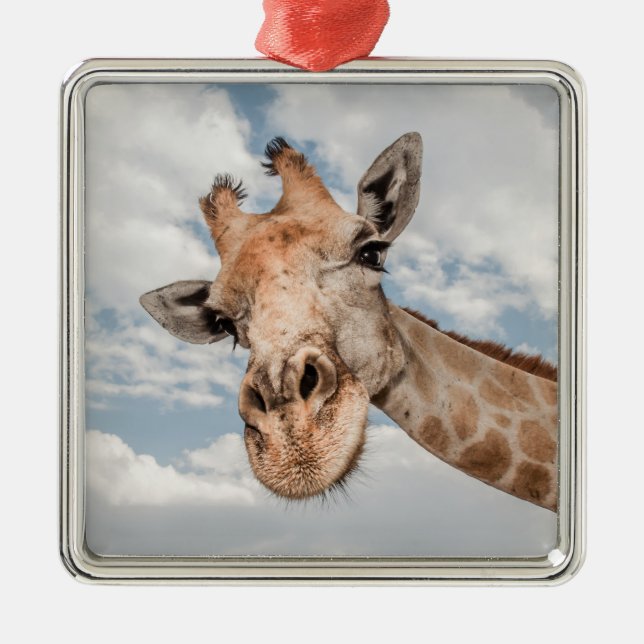 Adorno Metálico Silly Giraffe (Frente)