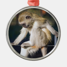 Adorno Metálico Silly Monkey