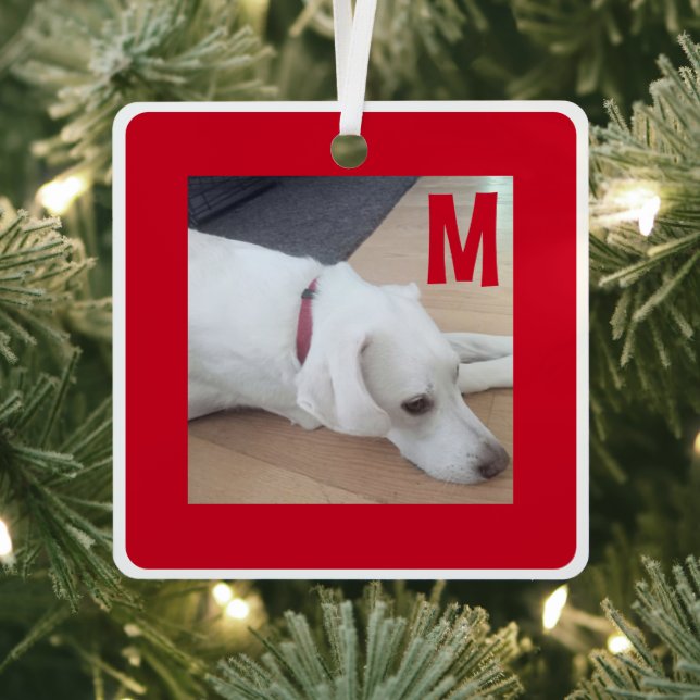 Adorno Metálico Simple foto en blanco y rojo del Personalizado de  (in situ)