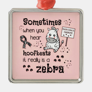 Adorno Metálico Síndrome de Ehlers-Danlos Conciencia de las cebra