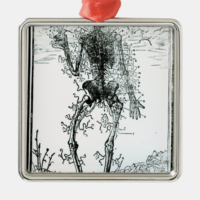 Adorno Metálico Sistema vascular del cuerpo (Frente)