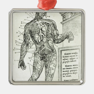 Adorno Metálico Sistema vascular según Charles Etienne