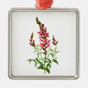 Adorno Metálico Snapdragon rosado extraído de la naturaleza