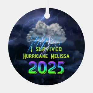 Adorno Metálico Sobreviví al huracán Melissa 2025