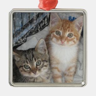 Adorno Metálico Solo Gatitos