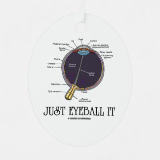 Adorno Metálico Sólo Ojo, Anatomía De Ojos Humanos, Consejos Geek