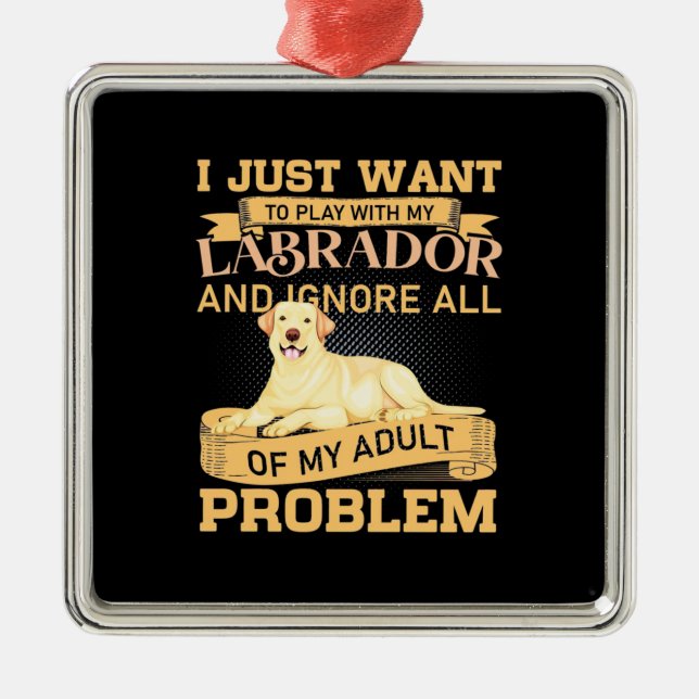 Adorno Metálico Solo Quiero Jugar Con Mi Labrador (Frente)