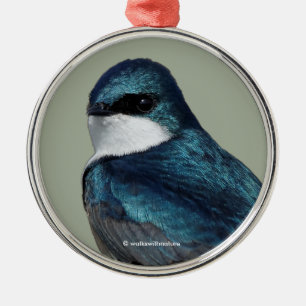 Adorno Metálico Songbird azul de maleza de árbol