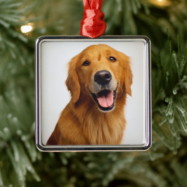 Adorno Metálico Sonrisa de Golden Retriever (Árbol)