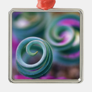 Adorno Metálico South Namaqualand, hojas de lirio curlidas. Crédi