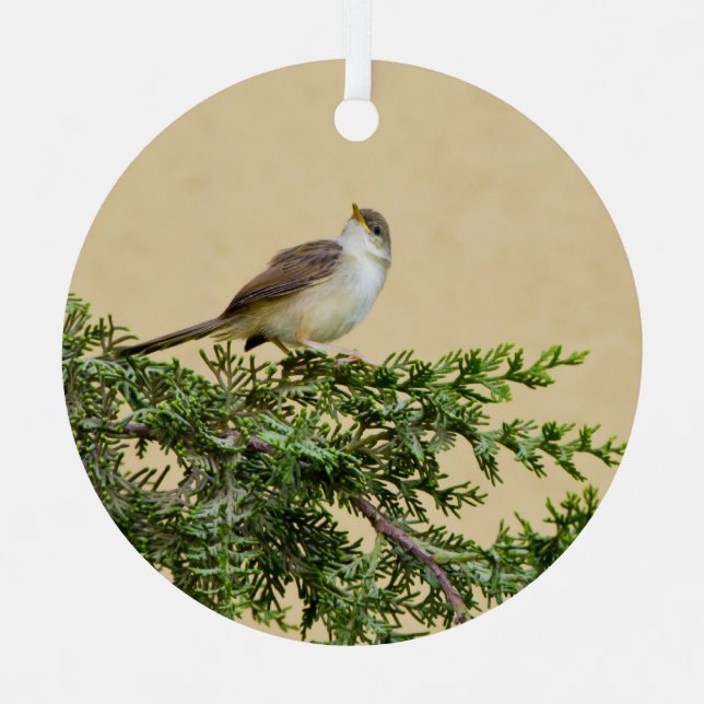 Adorno Metálico Sparrow (Anverso)