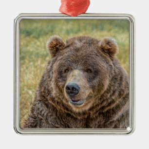 Adorno Metálico Sr. Bear