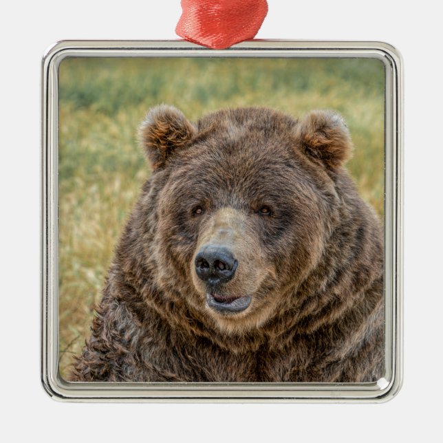 Adorno Metálico Sr. Bear (Frente)