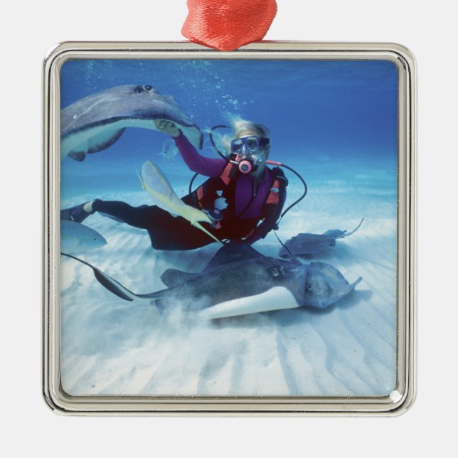 Adorno Metálico Stingray, Gran Caimán, Islas Caimán, (Frente)