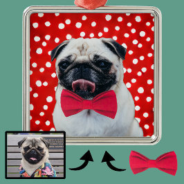 Adorno Metálico Su foto con accesorios digitales Gorra Bowtie Etc