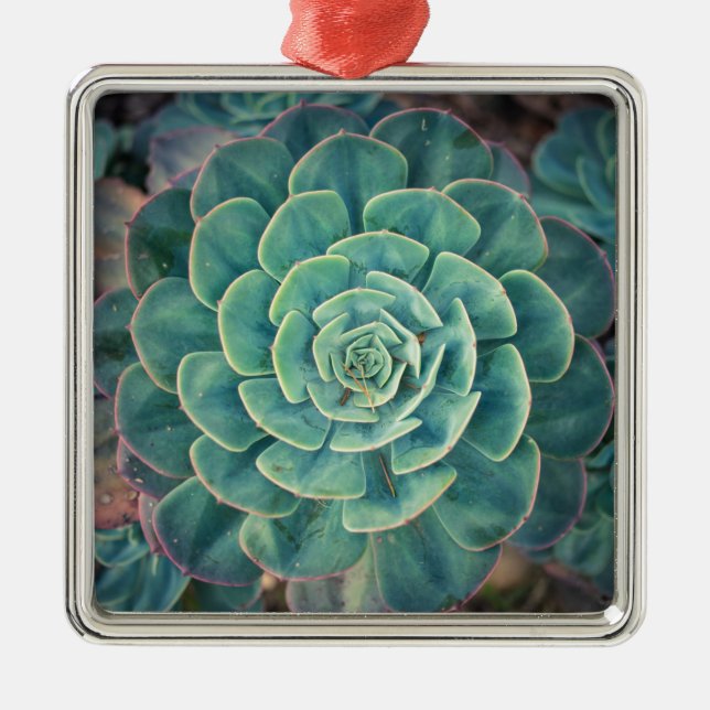 Adorno Metálico Succulent del primer (Frente)