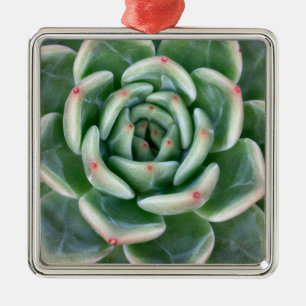Adorno Metálico Succulent inclinado rojo verde