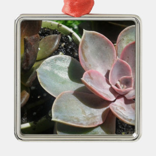 Adorno Metálico Suculenta planta suculenta, suculenta rosa bonito