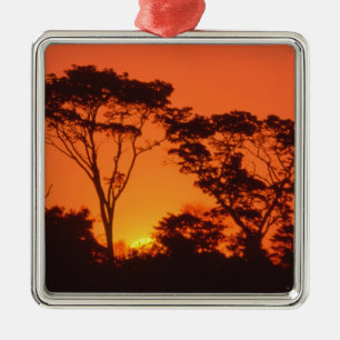 Adorno Metálico Sudáfrica.  Atardecer africano.
