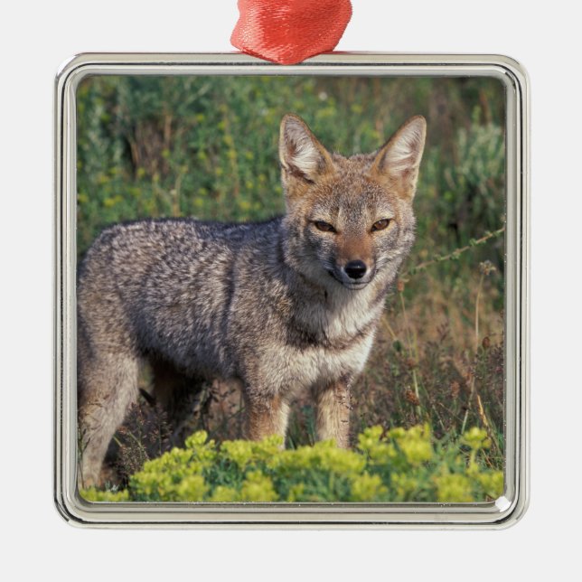 Adorno Metálico Sudamérica, Chile, Torres del Paine NP, (Frente)