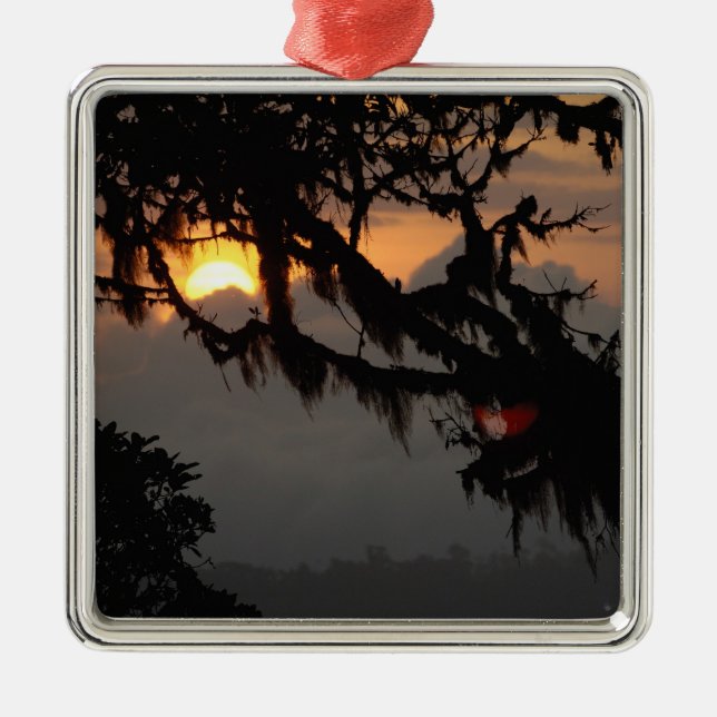 Adorno Metálico Sudamérica, Ecuador, escenario de bosques nublados (Frente)