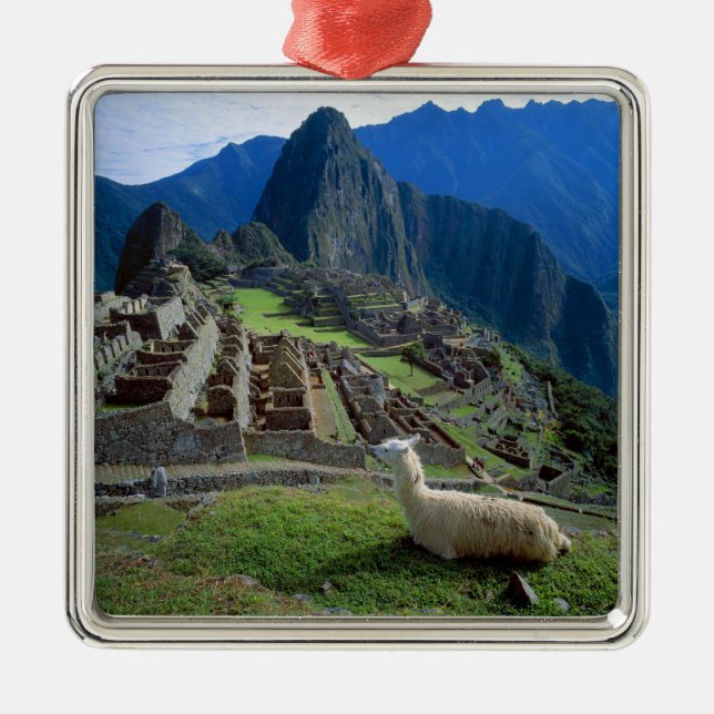 Adorno Metálico Sudamérica, Perú. Una llama descansa sobre una col (Frente)