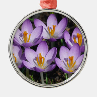 Adorno Metálico Sunny Purple Crocuses